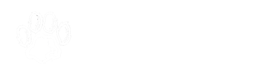 The walking Dog
